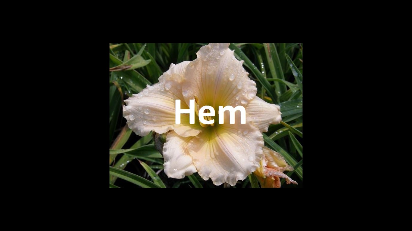 hem